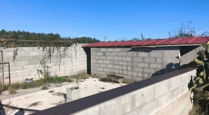 Domaine T0 à Ervedal e Vila Franca da Beira de 1 890 m²