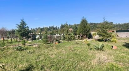 Domaine T0 à Ervedal e Vila Franca da Beira de 1 890 m²