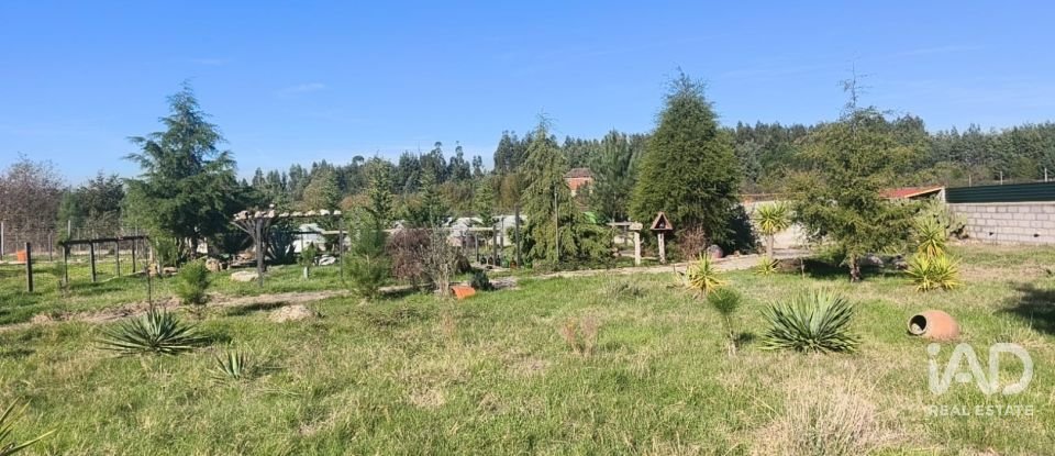 Domaine T0 à Ervedal e Vila Franca da Beira de 1 890 m²