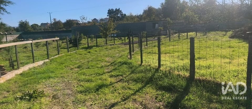 Domaine T0 à Ervedal e Vila Franca da Beira de 1 890 m²