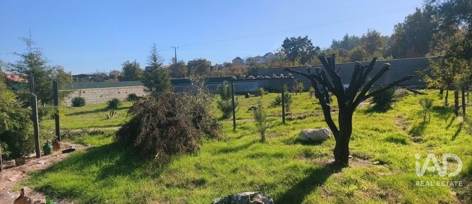 Domaine T0 à Ervedal e Vila Franca da Beira de 1 890 m²