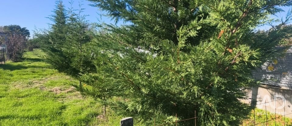 Domaine T0 à Ervedal e Vila Franca da Beira de 1 890 m²