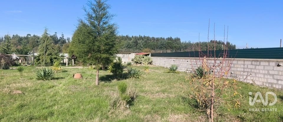 Domaine T0 à Ervedal e Vila Franca da Beira de 1 890 m²