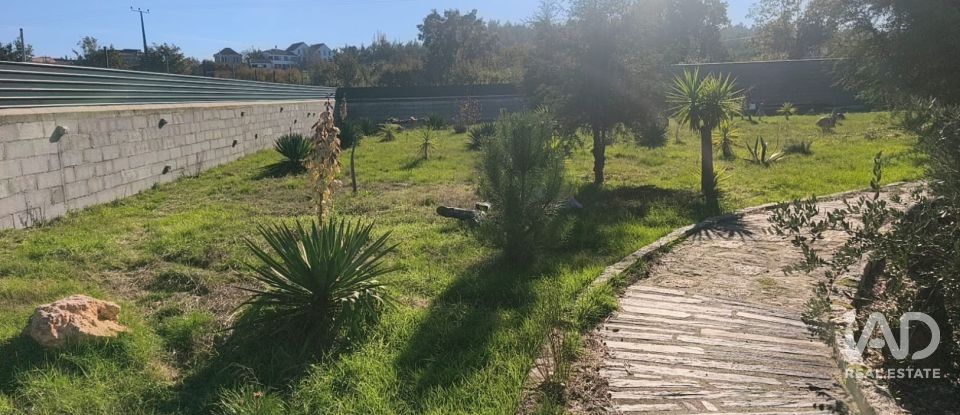 Domaine T0 à Ervedal e Vila Franca da Beira de 1 890 m²
