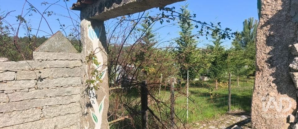 Domaine T0 à Ervedal e Vila Franca da Beira de 1 890 m²