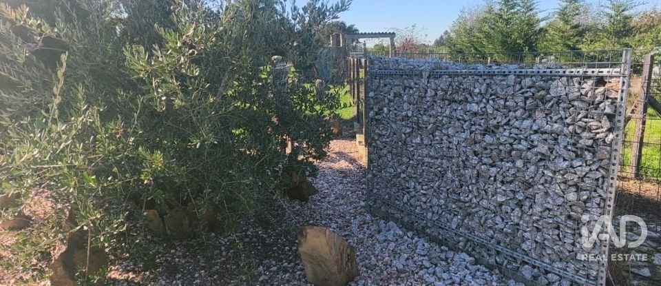 Domaine T0 à Ervedal e Vila Franca da Beira de 1 890 m²