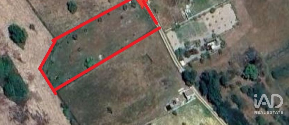 Domaine T0 à Ervedal e Vila Franca da Beira de 1 890 m²