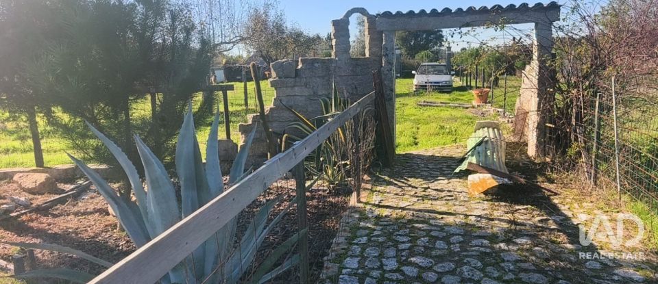 Domaine T0 à Ervedal e Vila Franca da Beira de 1 890 m²