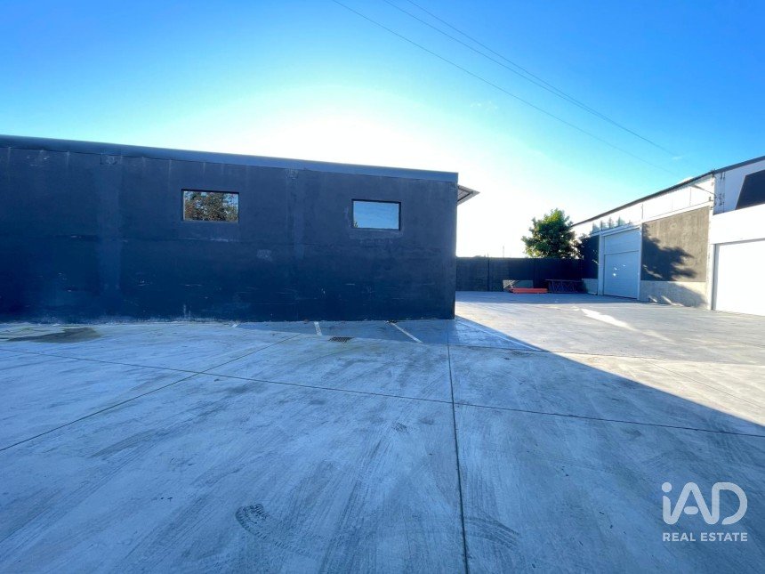 Hangar à Manhente de 705 m²