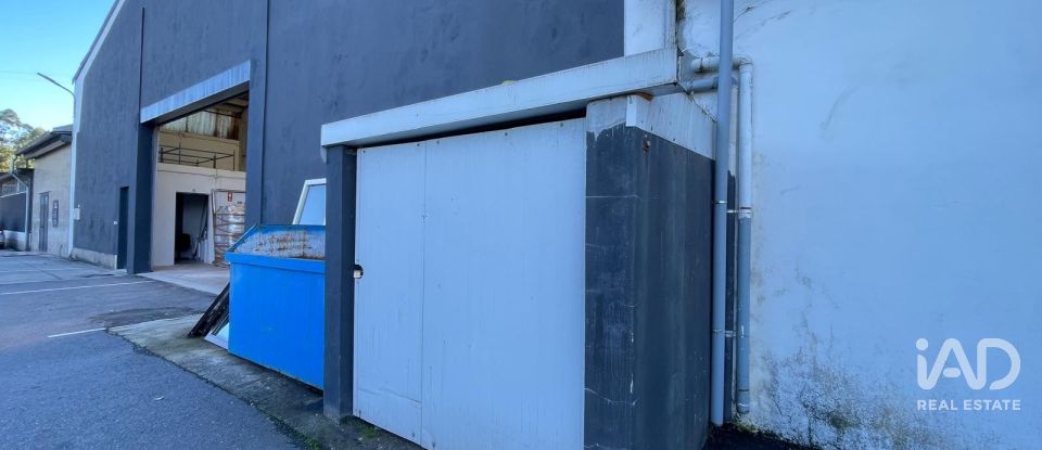 Hangar à Manhente de 705 m²