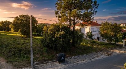 Terrain mixte à Caldas da Rainha - Nossa Senhora do Pópulo, Coto e São Gregório de 7 880 m²