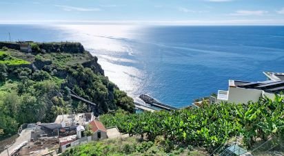 Terreno urbano em Calheta de 725 m²