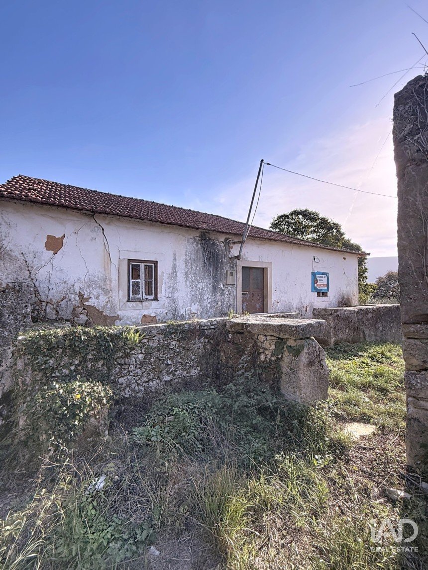 Casa de Campo T0 em Alvados e Alcaria de 344 m²
