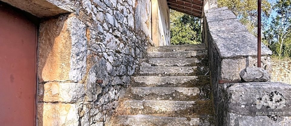 Casa de Campo T0 em Alvados e Alcaria de 344 m²