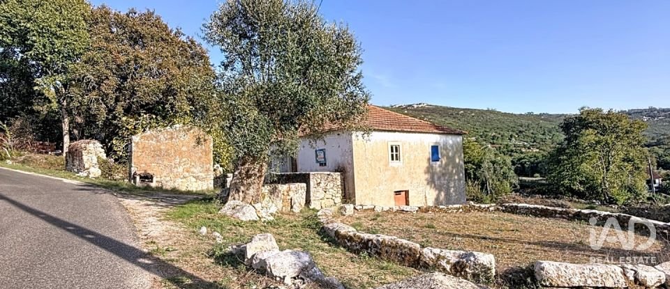 Casa de Campo T0 em Alvados e Alcaria de 344 m²