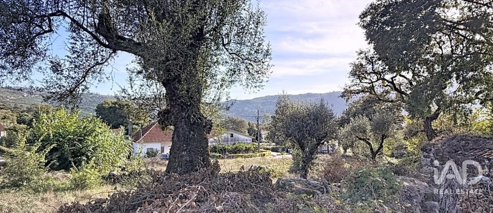 Casa de Campo T0 em Alvados e Alcaria de 344 m²