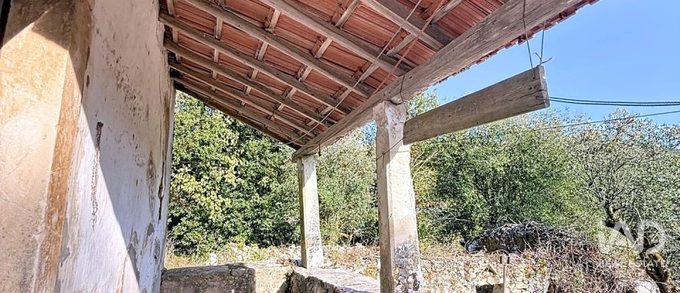 Casa de Campo T0 em Alvados e Alcaria de 344 m²