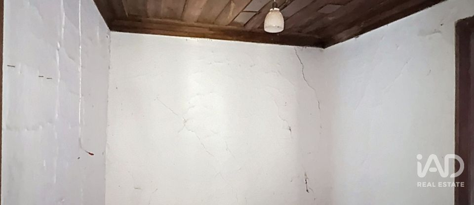 Casa de Campo T0 em Alvados e Alcaria de 344 m²