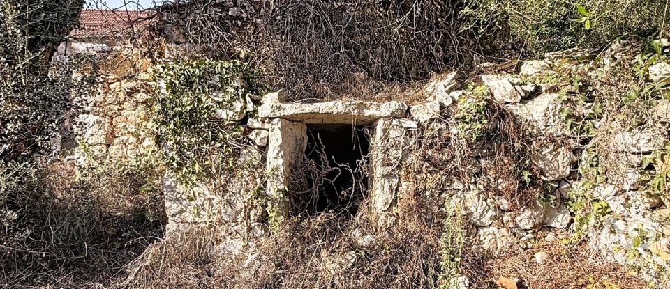 Casa de Campo T0 em Alvados e Alcaria de 344 m²