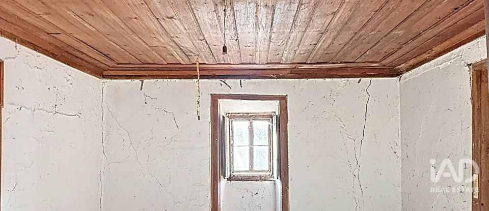 Casa de Campo T0 em Alvados e Alcaria de 344 m²