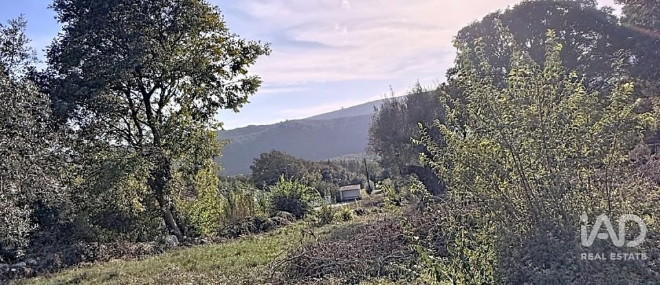 Casa de Campo T0 em Alvados e Alcaria de 344 m²