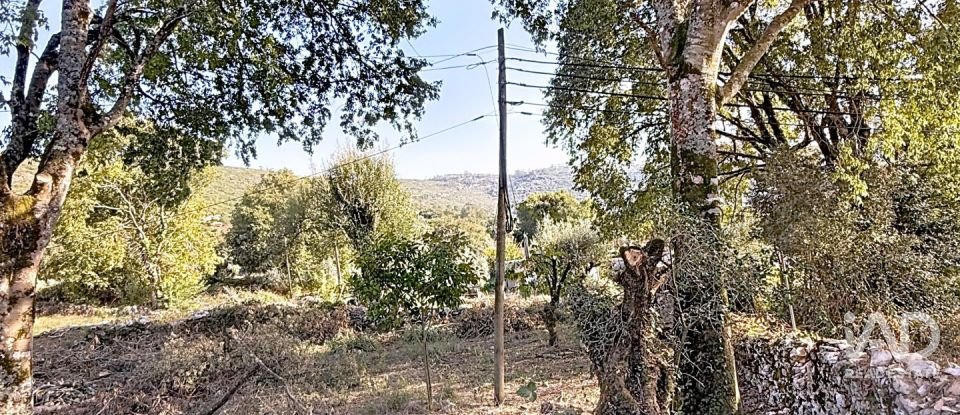 Casa de Campo T0 em Alvados e Alcaria de 344 m²