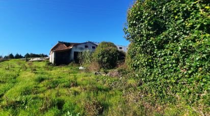 Terreno misto em Carvalhal de 1 560 m²