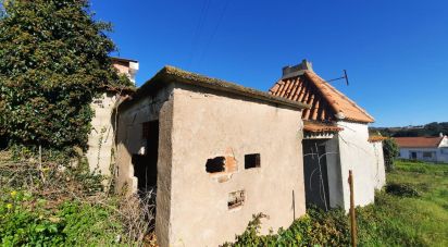 Terreno misto em Carvalhal de 1 560 m²