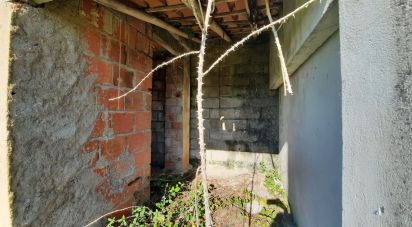 Terreno misto em Carvalhal de 1 560 m²