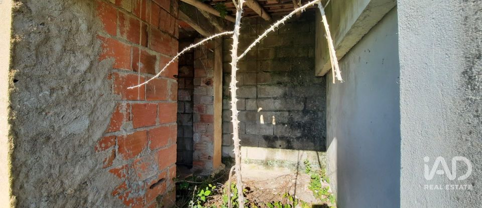 Terreno misto em Carvalhal de 1 560 m²