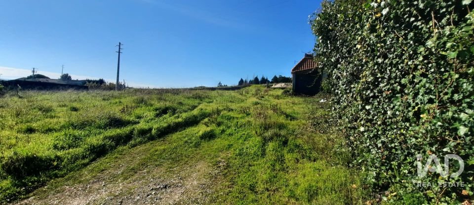 Terreno misto em Carvalhal de 1 560 m²