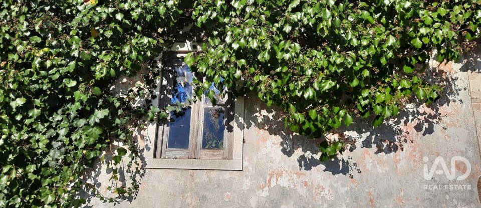 Terreno misto em Carvalhal de 1 560 m²