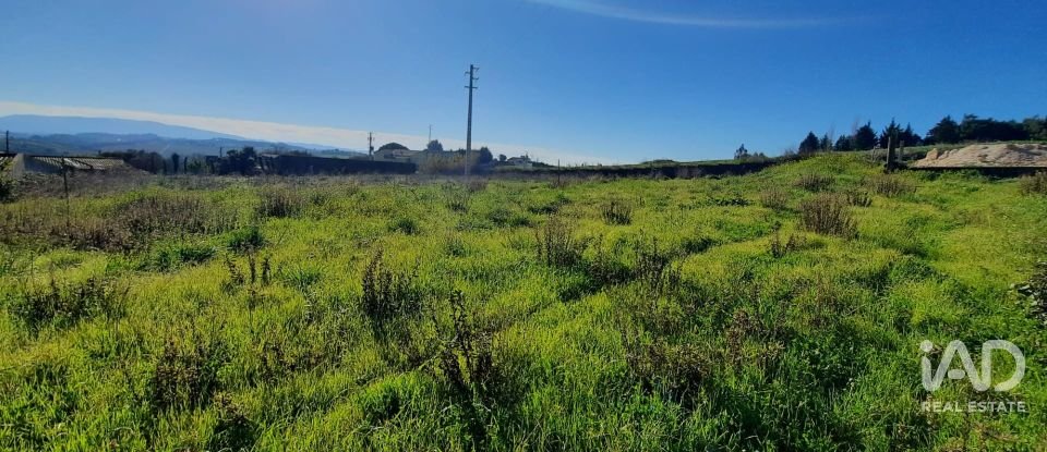 Terreno misto em Carvalhal de 1 560 m²