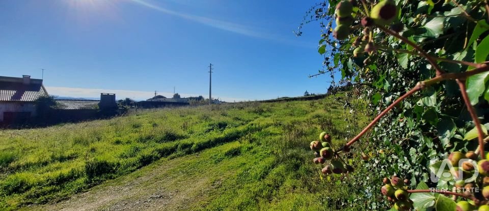 Terreno misto em Carvalhal de 1 560 m²