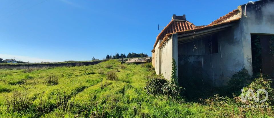 Terreno misto em Carvalhal de 1 560 m²