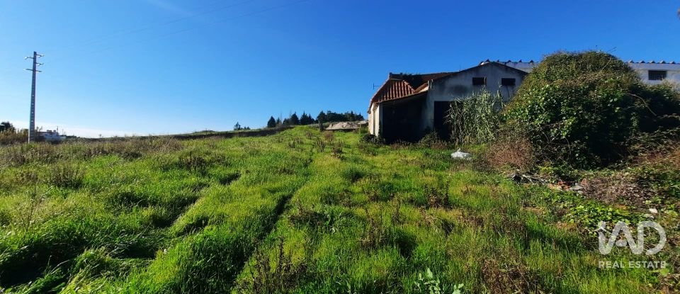 Terreno misto em Carvalhal de 1 560 m²