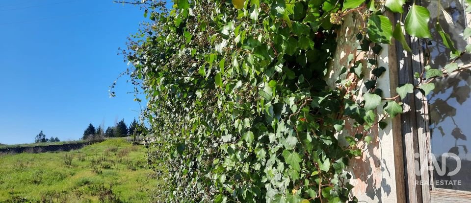 Terreno misto em Carvalhal de 1 560 m²