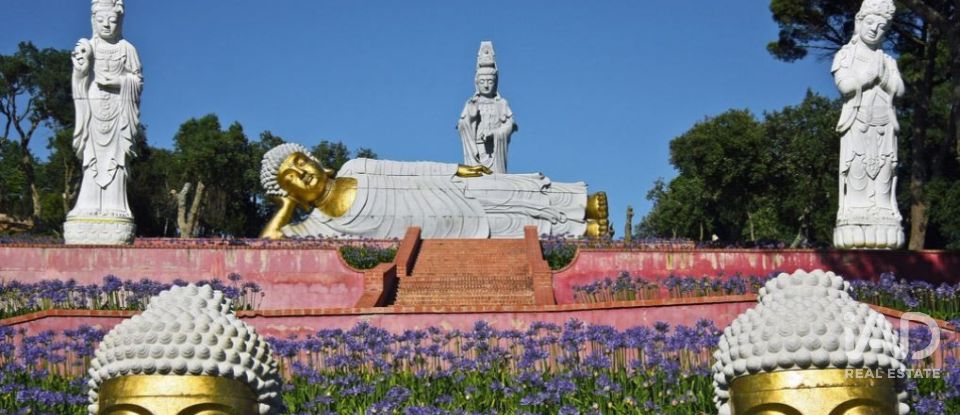 Terreno misto em Carvalhal de 1 560 m²