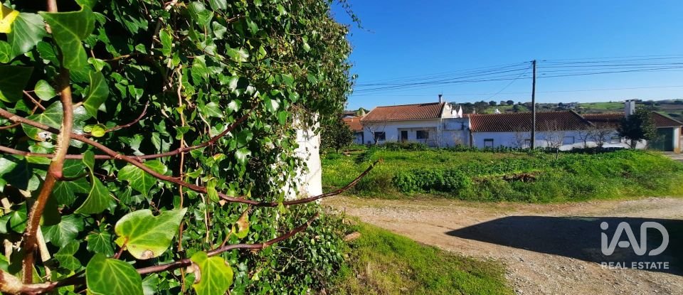 Terreno misto em Carvalhal de 1 560 m²