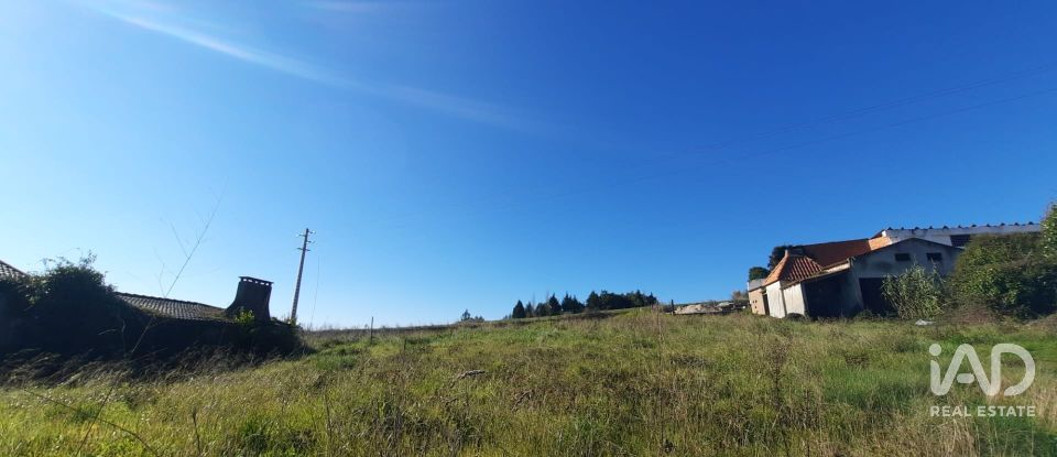 Terreno misto em Carvalhal de 1 560 m²