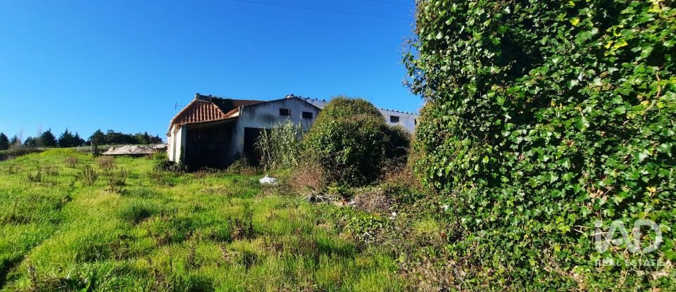 Terreno misto em Carvalhal de 1 560 m²