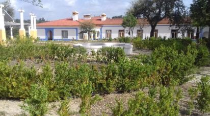 Quinta T11 em Raposa de 1 223 m²