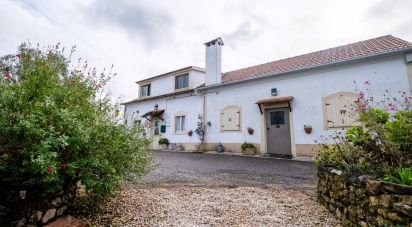 Moradia T3 em Pussos são pedro de 132 m²