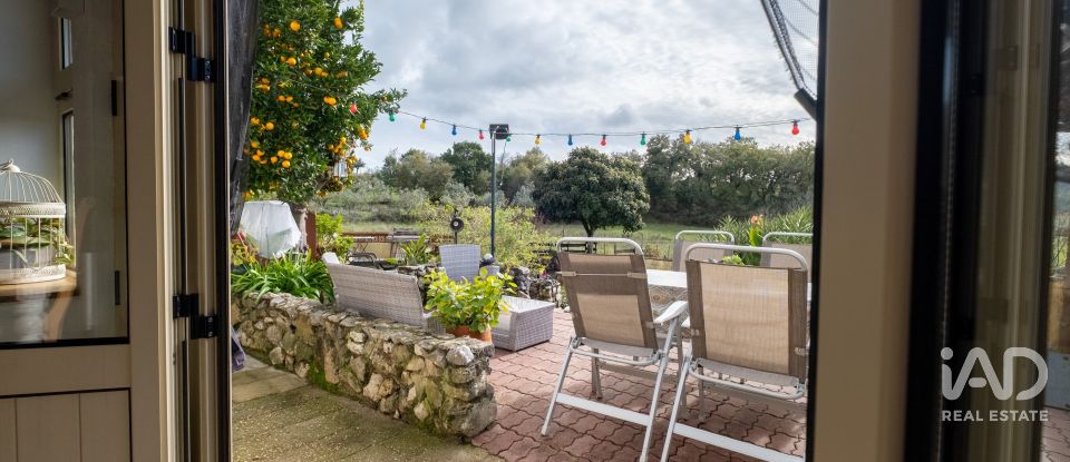 Moradia T3 em Pussos são pedro de 132 m²