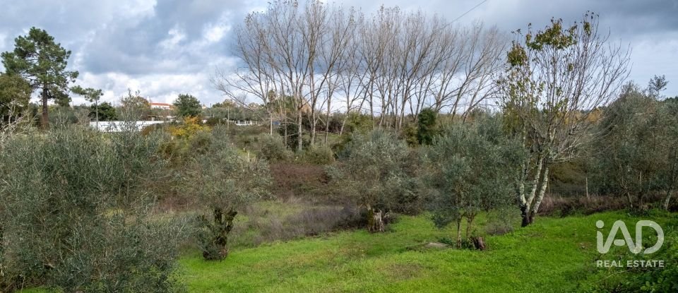 Moradia T3 em Pussos são pedro de 132 m²