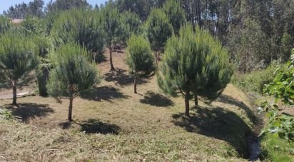 Land in Arrifana of 2,610 m²