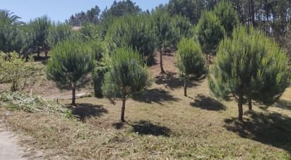 Land in Arrifana of 2,610 m²