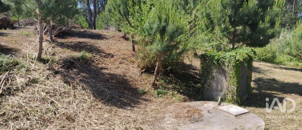 Land in Arrifana of 2,610 m²