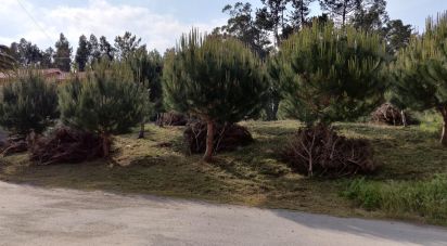 Land in Arrifana of 2,610 m²