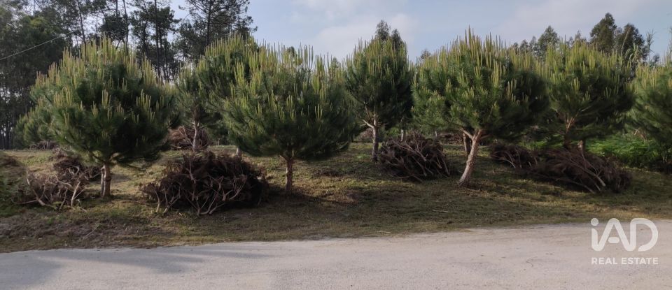 Land in Arrifana of 2,610 m²